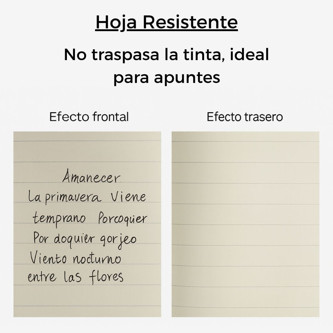 Agenda 2026 Ejecutiva Gamusa y Broche Magnético Premium Agenda Planeador Organizador Anual Premium